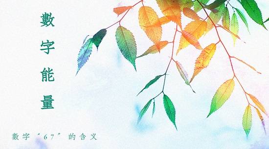 今天一起看看数字67在不同文化当中的含义。喜欢数字文化的朋友可以一起研究讨论。
