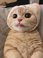 每个数字都有其独特的含义,数字从不同方面来讲寓意也不同,我们生活中大多数人都喜爱数字6和8.